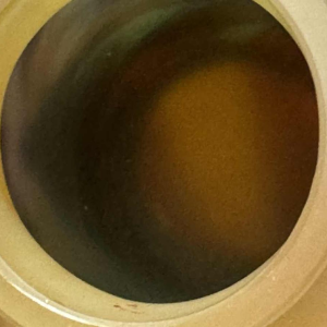 Atelier Émile GALLÉ multilayer glass vase with floral decoration