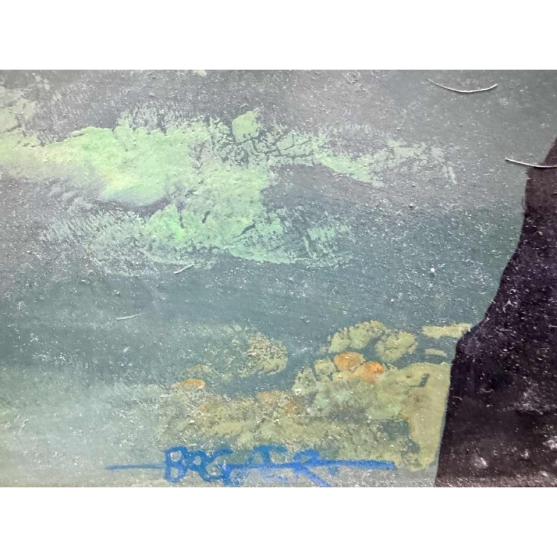 Gaston BOGAERT : « Storm » schilderij olie op paneel