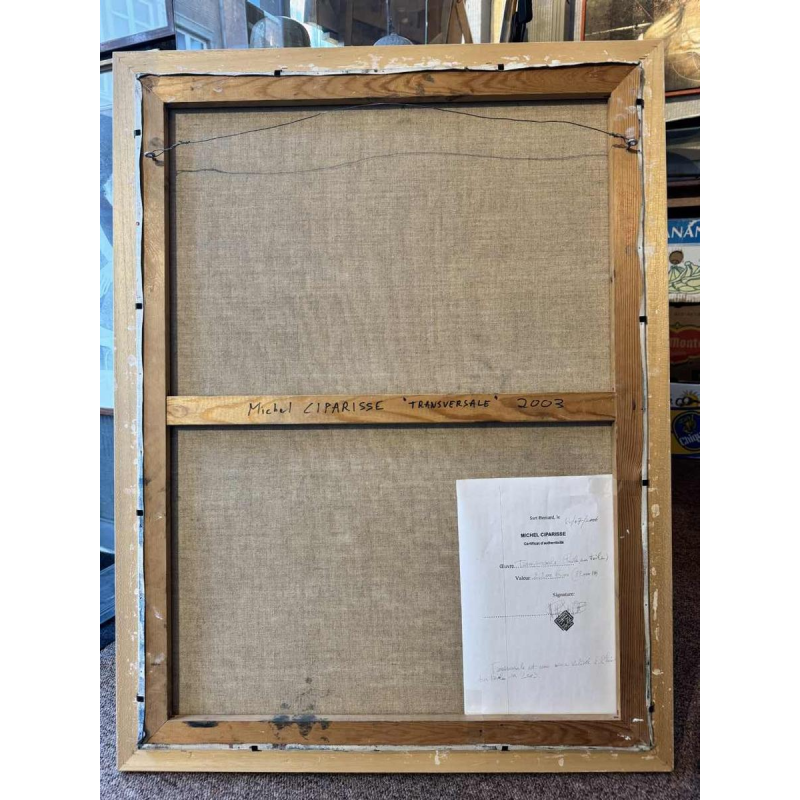 Michel Ciparisse “het oog” acrylschilderij, jaar 2003