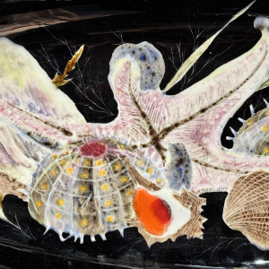 Guy TREVOUX (in Cornouaille) grote aardewerken schaal met schelpdierendecoratie