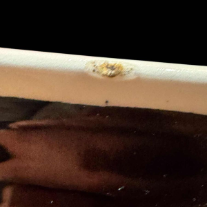 Guy TREVOUX (in Cornouaille) large ceramic dish with shellfish decoration