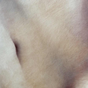 Nicolas BINSFELD " De schone slaapster naakt " acrylschilderij op doek