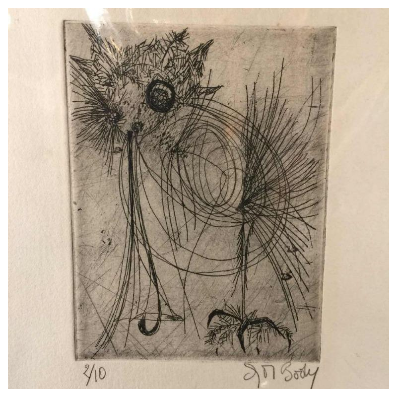 Anne Body " de vlieg vlieg ", ets 3/10, circa 1965