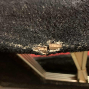 Pair of Vintage Italian Club Armchairs, (wear on velor armrests), 1950s