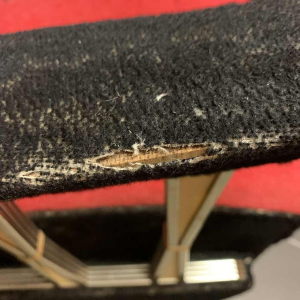 Pair of Vintage Italian Club Armchairs, (wear on velor armrests), 1950s