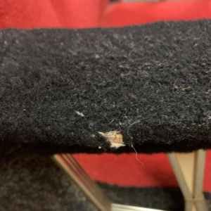 Paire de Fauteuils Clubs italiens Vintage, (usures accotoirs velour) , 1950s