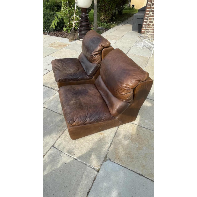 DE SEDE, Paire de Fauteuils / Chauffeuses / Clubs Vintage en cuir, 1970s