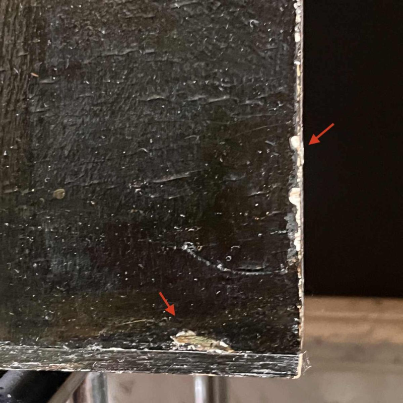 Schilderij "Stilleven met fruit” olieverf op paneel, 19e eeuw (17e-eeuwse stijl)