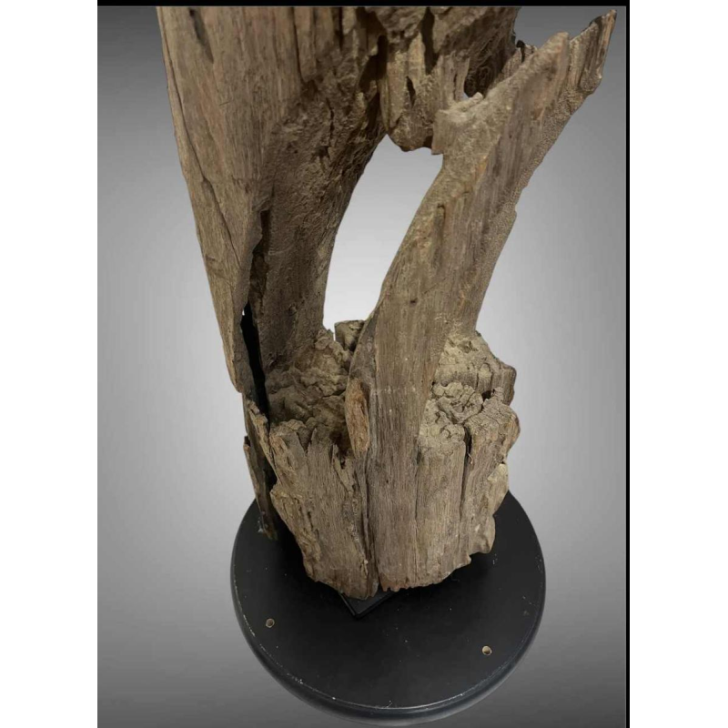 Peacock Mnong or Jarai Vietnam, Taeng hardwood sculpture, late 19th century