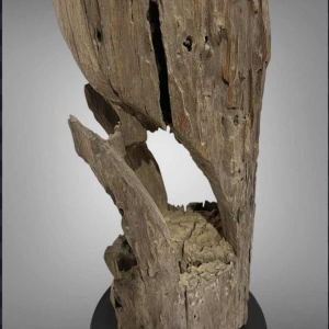 Pauw Mnong of Jarai Vietnam, Taeng hardhouten sculptuur, eind 19e eeuw