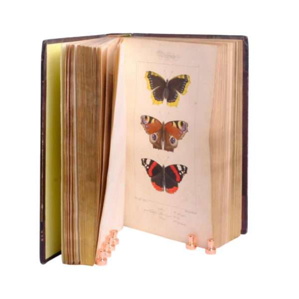 LUCAS P.H., Histoire des lépidoptères d'Europe, Parijs, L. de Bure, 1845.