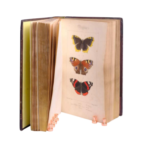 LUCAS P.H., Histoire des lépidoptères d'Europe, Parijs, L. de Bure, 1845.