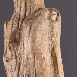 Afrikaanse stammenkunst - Standbeeld Sakalava Madagaskar