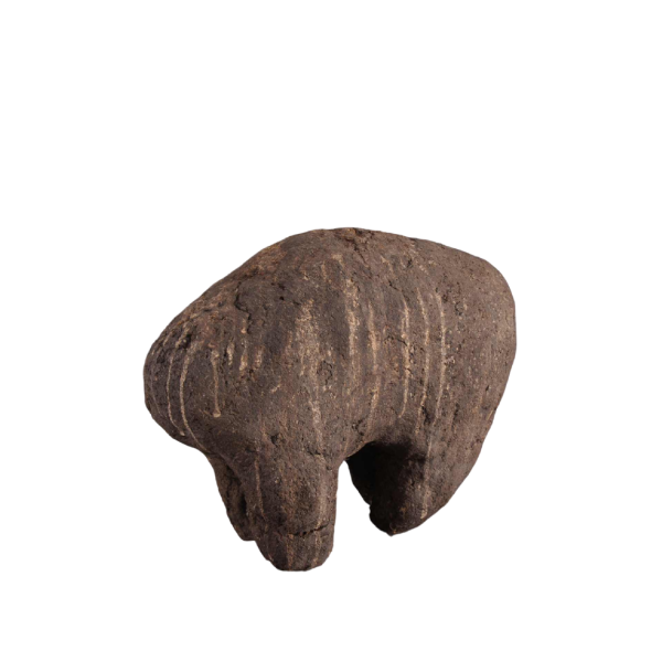 Afrikaanse stammenkunst - Boli Bambara fetisj