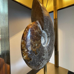 MAISON JANSEN (attr) 'Ammoniet' lamp 102cm, verguld messing en zwart gelakt hout, Hollywood Regency ca 1970