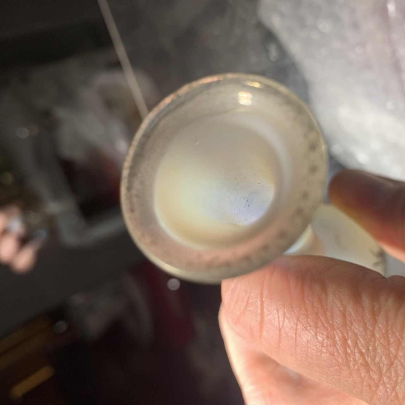 Daum soliflore vaas in opalescent glas met grisaille decoratie van een landschap aan een meer