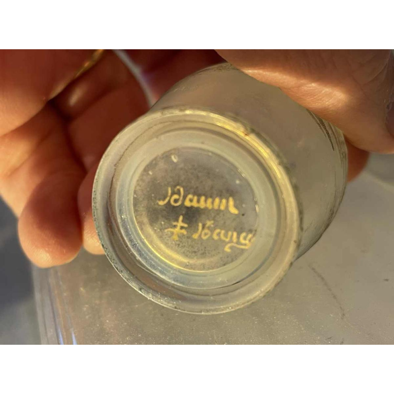 Daum soliflore vaas in opalescent glas met grisaille decoratie van een landschap aan een meer