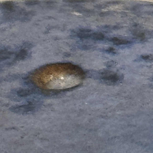 Antonio Lampecco, blue ceramic vase