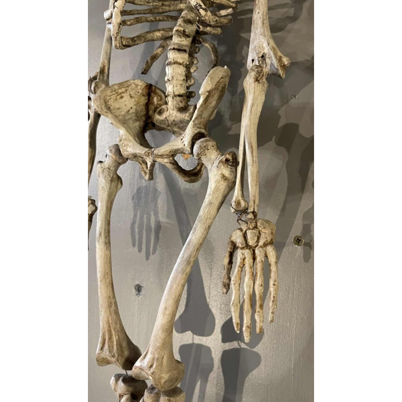 Squelette humain ancien articulé (70cm) en bois sculpte´ stuque´, objet curiosite´, 19e`me siècle