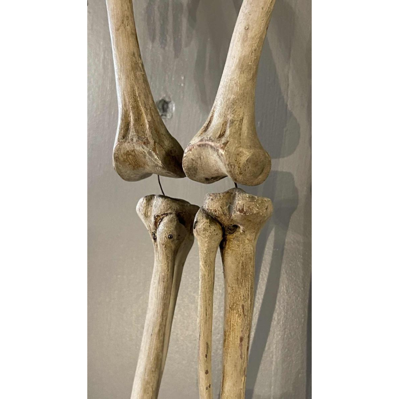 Squelette humain ancien articulé (70cm) en bois sculpte´ stuque´, objet curiosite´, 19e`me siècle