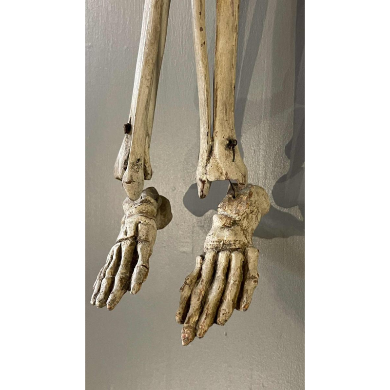 Antique articulated human skeleton (70cm) in stuccoed carved wood, curiosity object, 19th century