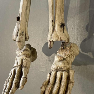 Antique articulated human skeleton (70cm) in stuccoed carved wood, curiosity object, 19th century