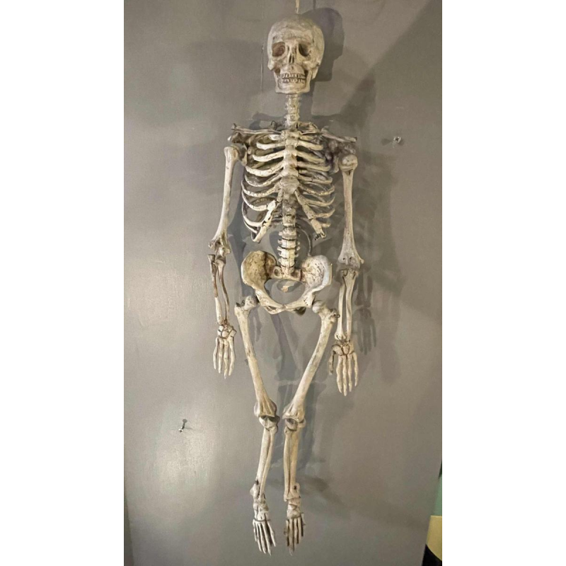 Squelette humain ancien articulé (70cm) en bois sculpte´ stuque´, objet curiosite´, 19e`me siècle