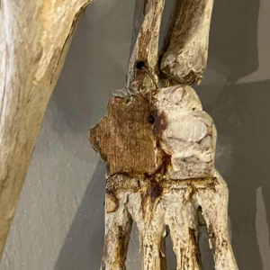 Antiek gelede menselijk skelet (70cm) in gestuukt houtsnijwerk, curiositeitsobject, 19e eeuw