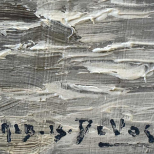 Albert Isidore DEVOS " Terug van vissen " olieverf op hout