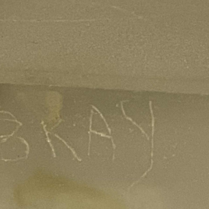 Glassculptuur van Charles Bray (1922-2012)