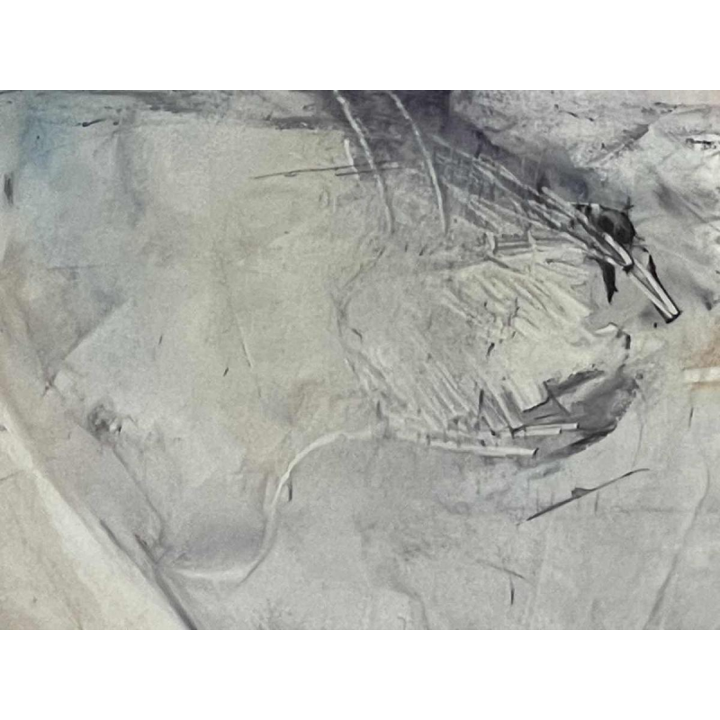 Nicolas BINSFELD (1945-) : erotische tekening - pornografisch verboden -18 jaar oud