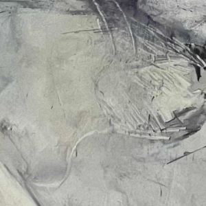 Nicolas BINSFELD (1945-) : erotische tekening - pornografisch verboden -18 jaar oud