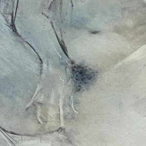 Nicolas BINSFELD (1945-) : erotische tekening - pornografisch verboden -18 jaar oud