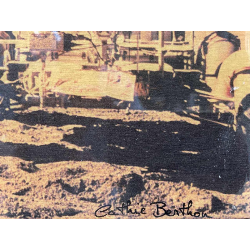 Cathie BERTHON (1968-): CCCP gemengde techniek