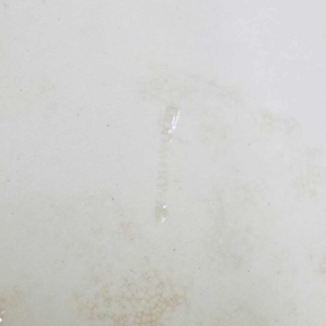 Helen Miles - Wedgwood - Aardewerk bord - Mei-tegel - 1882