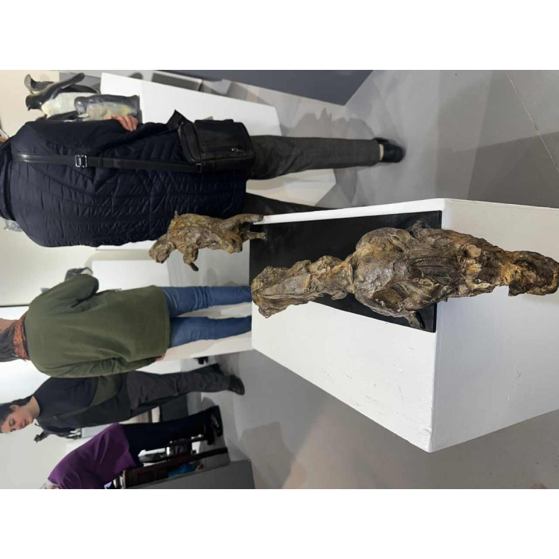 Jean-François Gambino, sculpture animalière en bronze, XXIe s