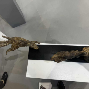 Jean-François Gambino, bronze animal sculpture, 21st century