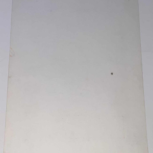 Marine de Sailly, origineel artwork erotisch album "Les 100.000 femmes" 2012