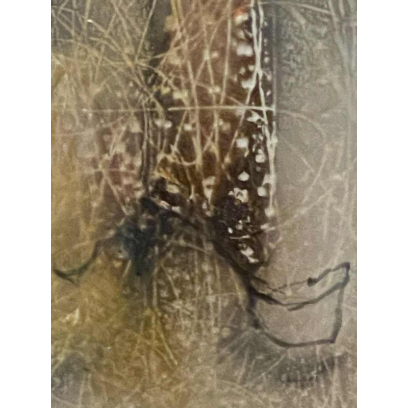 André SPRUMONT (1938-)