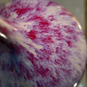 Pair of tulip vases, China, 19th century, oxblood red