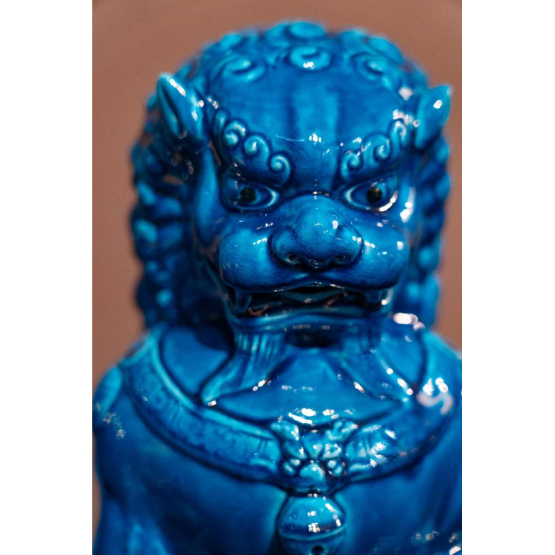 Set van 6 Fô honden, blauw gelakt Chinees porselein, 20e eeuw