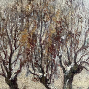 Albert DANDOY (1885-1977): « Paysage sous la neige »