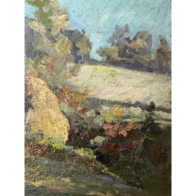 Eugène VAN MIERLO (1880-1972): « diseaux »