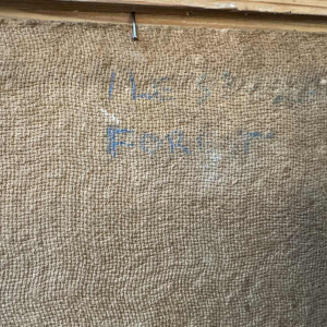 Eliane de Meuse (1899-1993): « Les étangs ? à Forest »