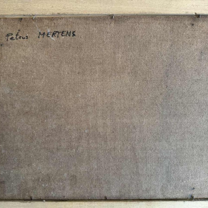 Petrus MERTENS (1919-1986): 'Landschap (van de Lelie?) »