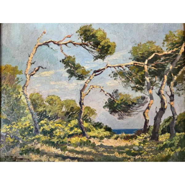 Van BIEMME Gaston (eind 19e-begin 20e eeuw): Landschap van de heide naar oceaan