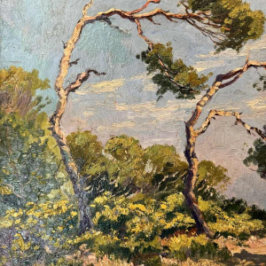 By BIEMME Gaston (end of the 19th-early 20th c.: Landscape of the moors