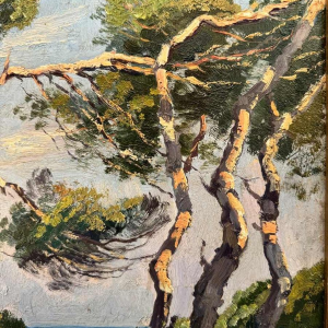 de BIEMME Gaston (fin 19e-début 20e siècle): Paysage des landes vue vers locéan