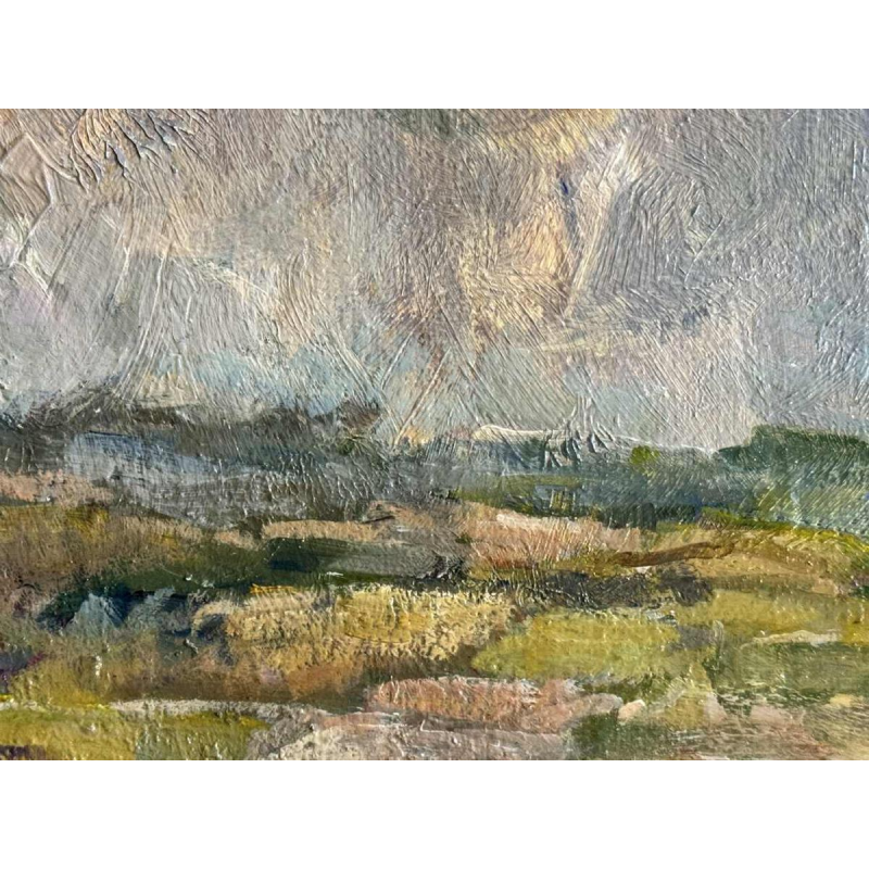 Jeanine DANDRIFOSSE: « Zomer in Ardennen » schilderij, olie op doek