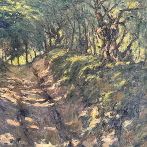 Eugène COLIGNON « In de zomer in het kreupelhout » schilderij olie op doek